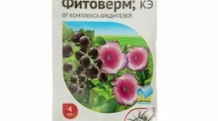 Phyteerm: hogyan tenyészteni és használni a növények számára